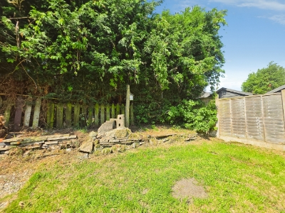 Picture 25